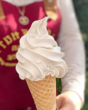 Vanilla vegan soft serve in a cone